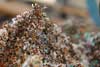 Trucioli Ferro - Iron Chips
